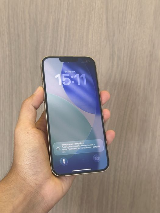 Iphone 13 Pro Max 256GB 77%
