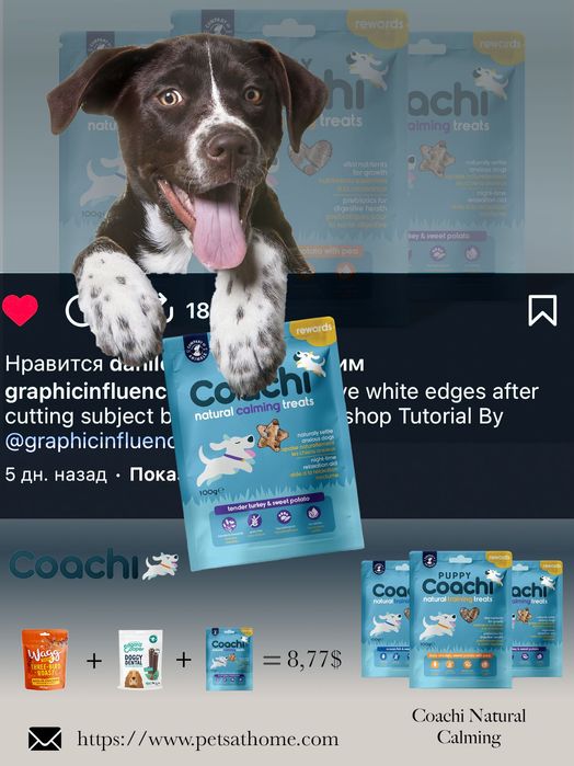 Infografika dizayneri