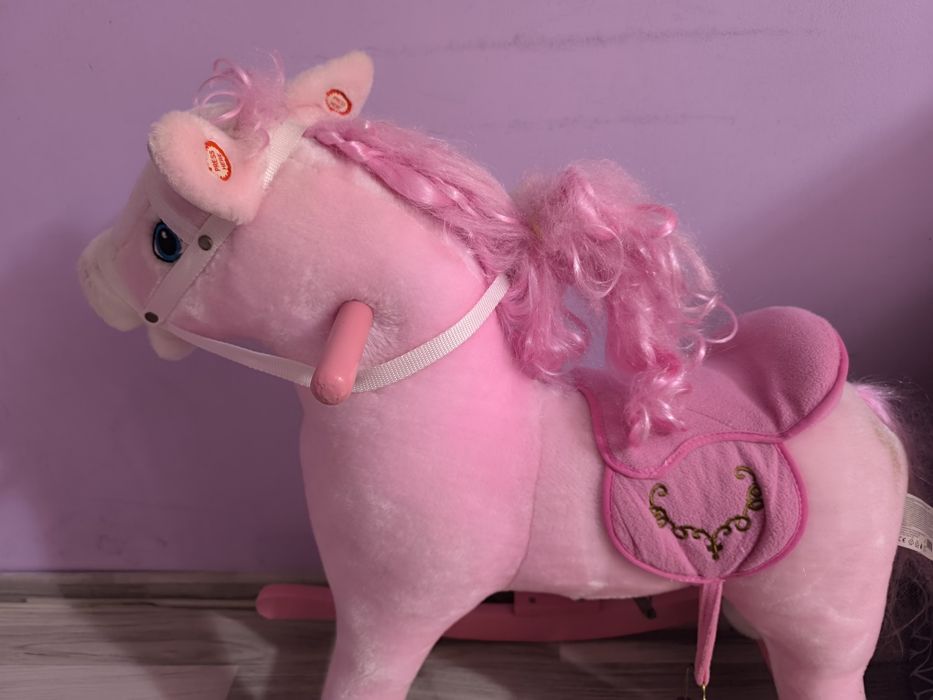 Люлеещо се конче