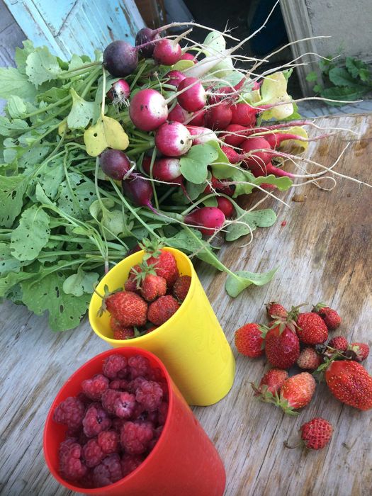 Дача на берегу Ишима