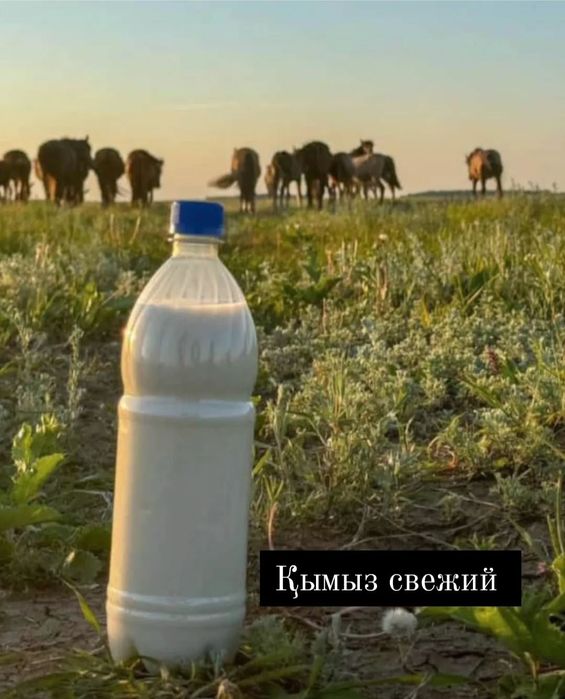Кымыз свежий 1600
