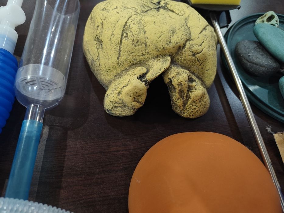 Аксесоари за аквариум