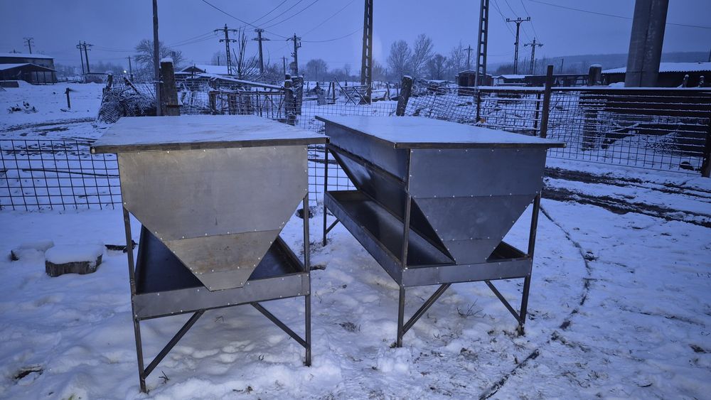 Hrănitoare ( buncare cereale)