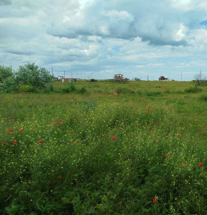 Costinesti Nibiru apartament & curte lângă Nibiru Beach Please