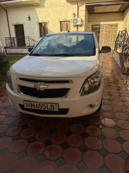 Cobalt 2025/2026 Midnight