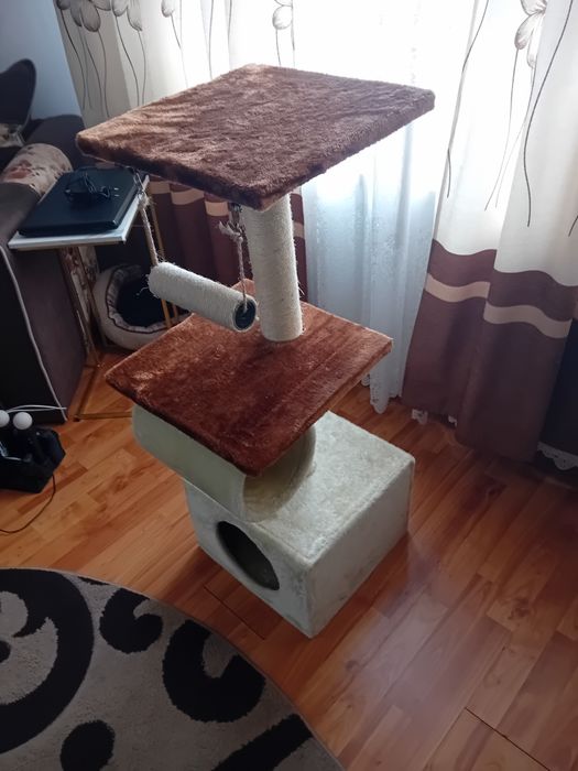 Ansamblu de joaca pisici