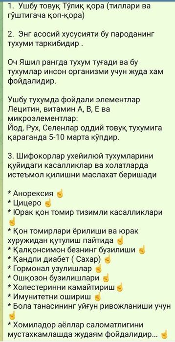 Uxayil tuxumlari sotiladi jujasiga xam zakaz olamiz