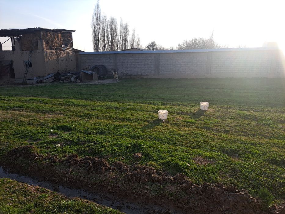 Продаётся земля 7 сотих адрес Тошкент обл Кибрайский рай.