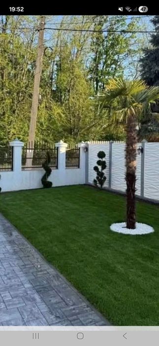 Amenajez spați verzi plante ornamentale mesteacăn tei
