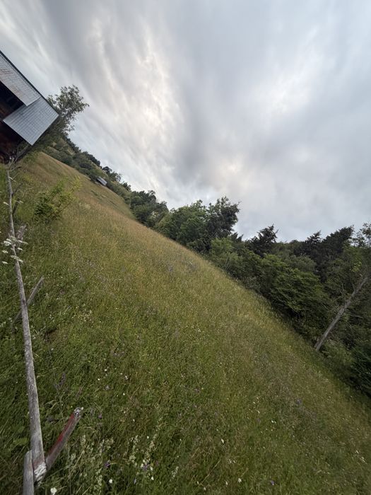 Teren de vanzare in Muntii Apuseni