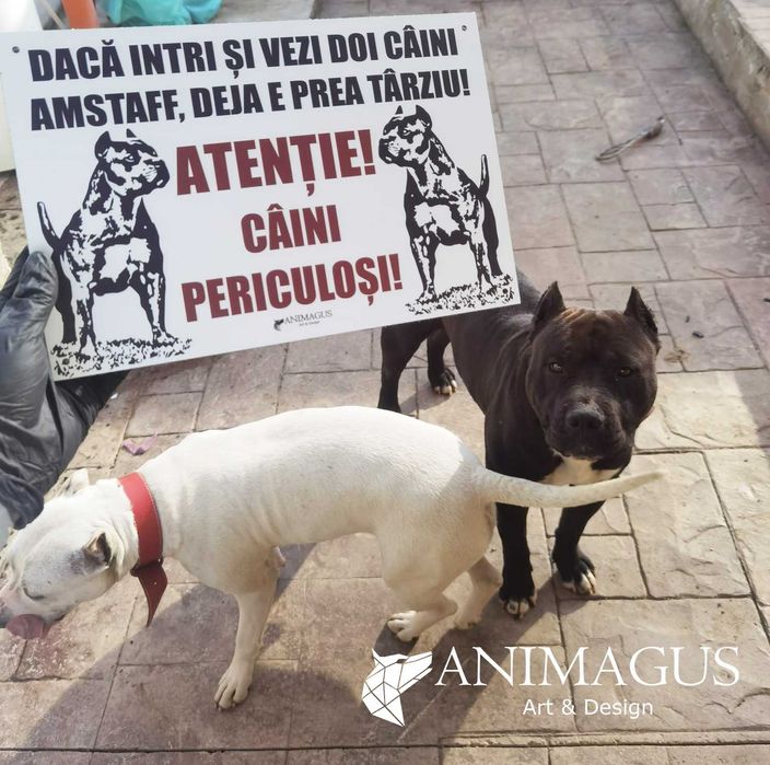 Placa Avertizare Caine Rau Periculos Amstaff