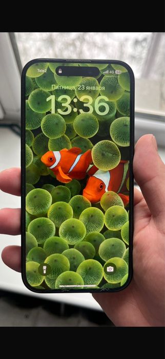 Продажа новый Iphone 16 256gb