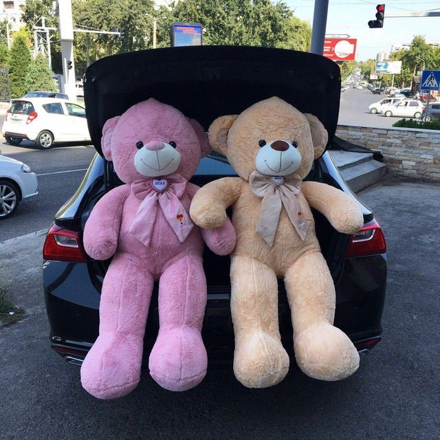 Teddi Teddiy ayiqchalar 60sm. 3metrgacha