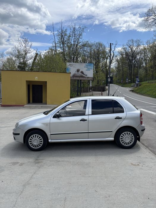 Vand Skoda Fabia 1