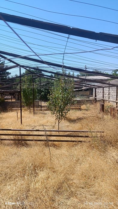 8 сот ер сотилади, Сергилий туман, Навруз куча