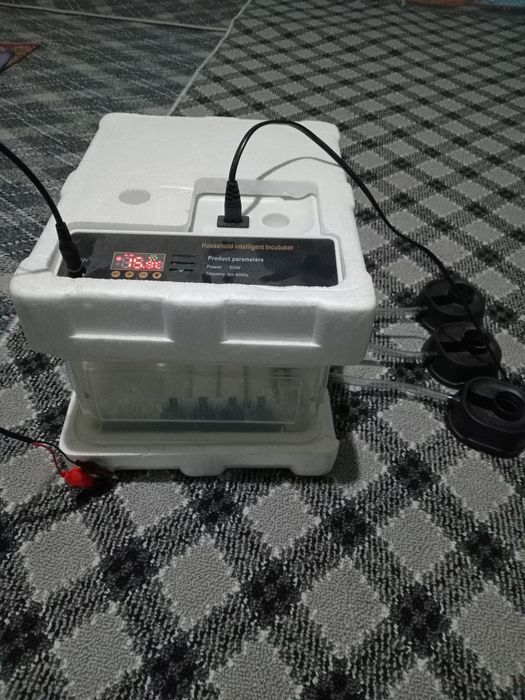 Сотилади  инкубатор