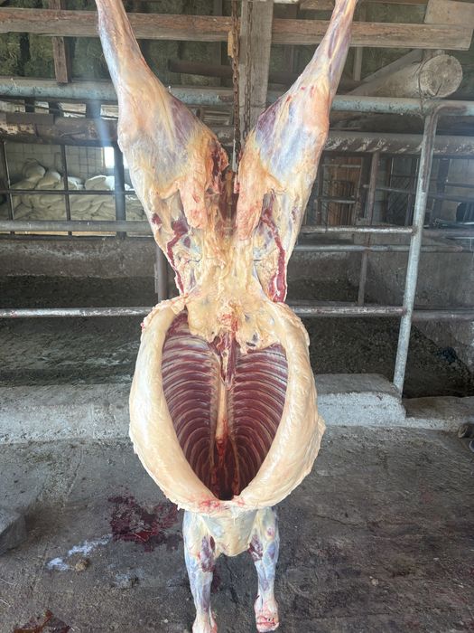 Байталдар сатылады