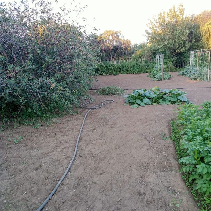 Продам дачу на союзе