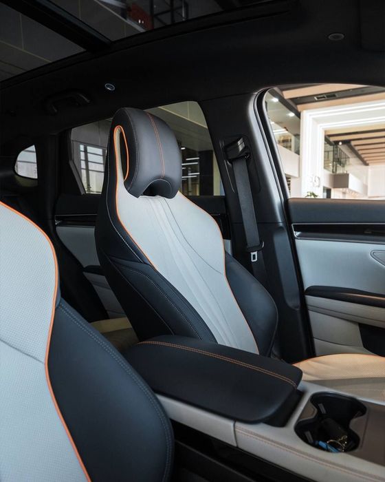 Byd champion 2026 хамма рангидан