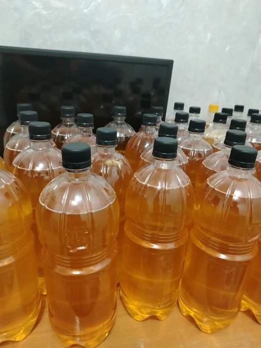 Продам мёд катонский