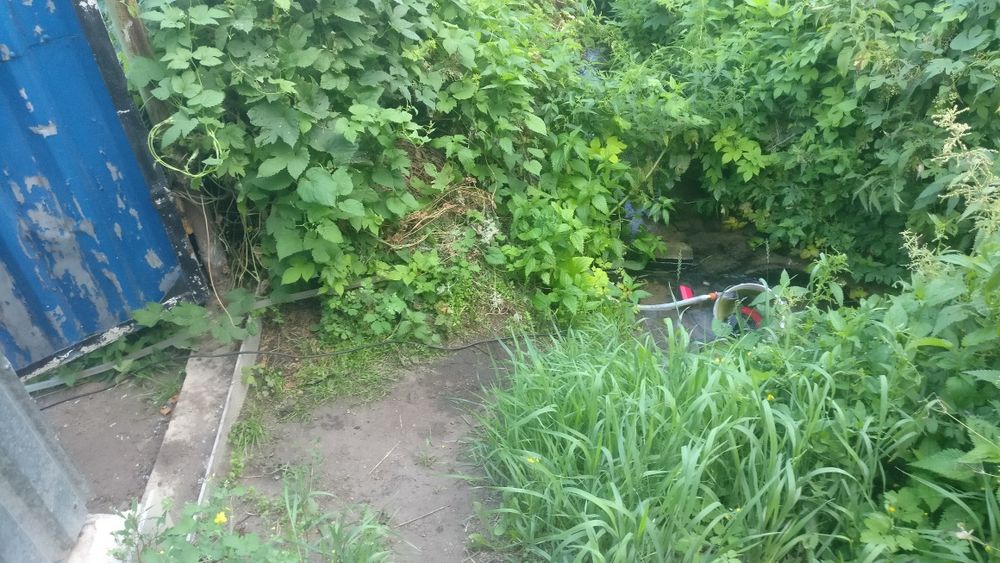 Дача, общество Мичуренец