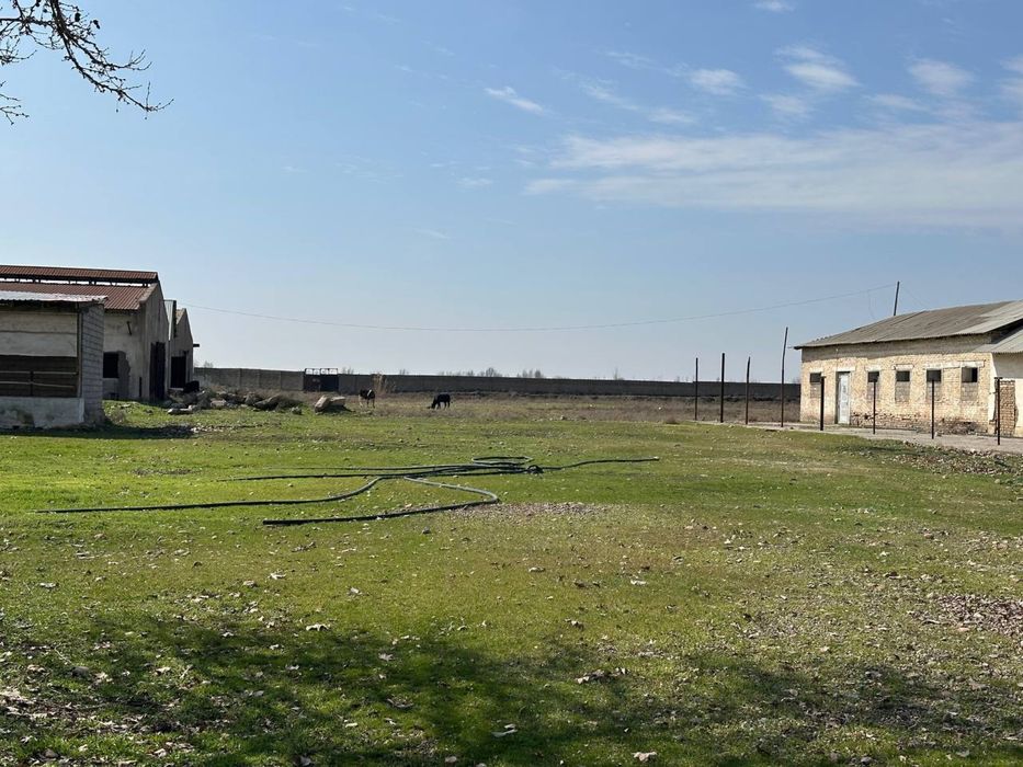 Ferma 7 gektar  ферма