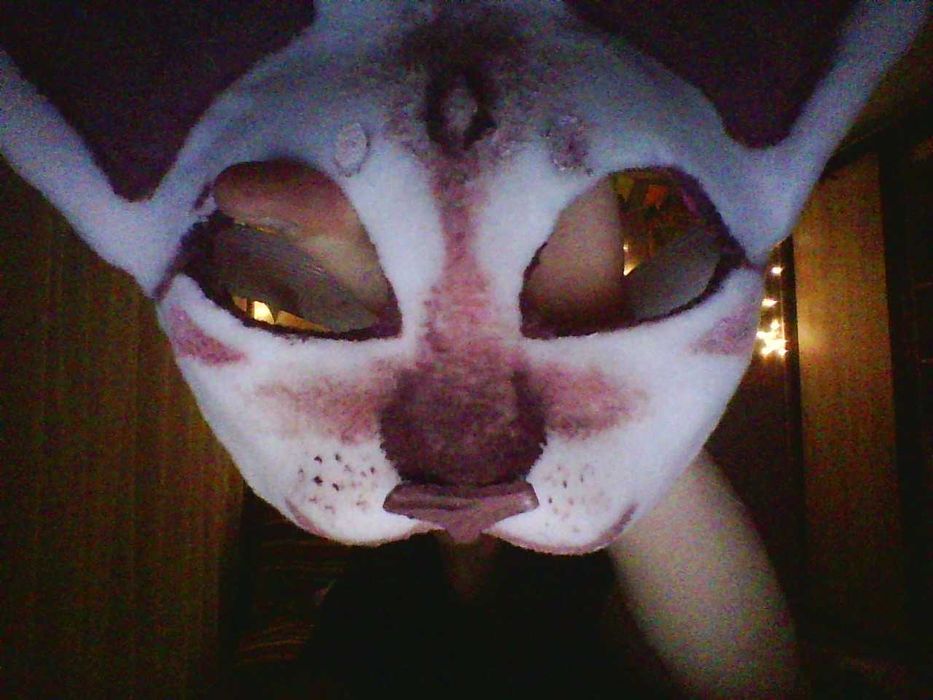 Маска для квадробики, кошка