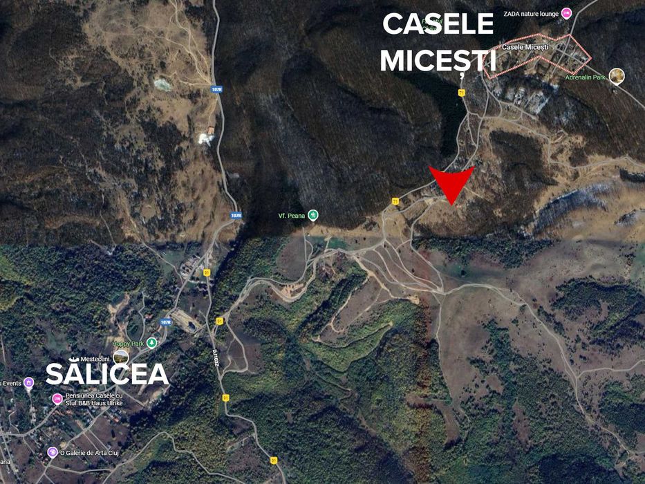 Teren intravilan Salicea 920 mp