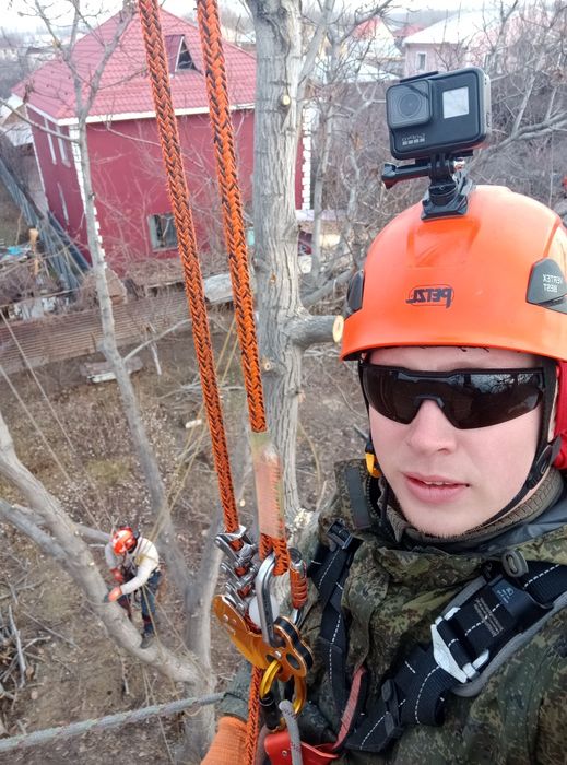 Спил аварийных деревьев, обрезка