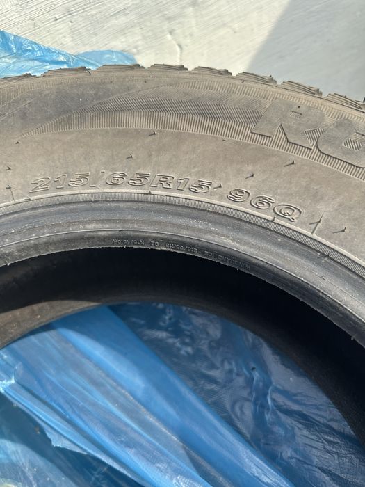 Зимние шины Roadstone