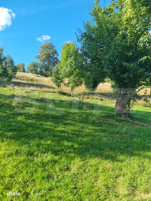 Teren intr-o zona superba din Campulung Moldovenesc