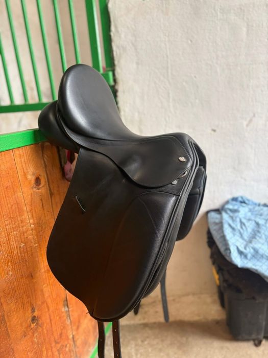 Sa dresaj Waldhausen 17.5