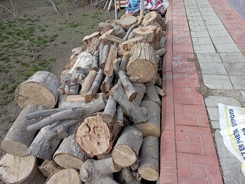 Утин анча бор, хаммаси кесиб тахланган.