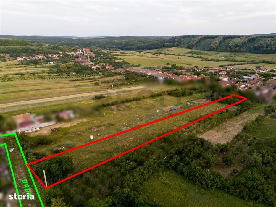 RECO Teren intravilan de vanzare Betfia, Bihor - 3000 mp, front strada