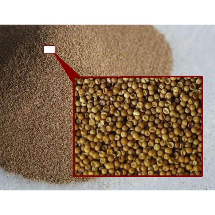 Tuxum Artimiya sotiladi