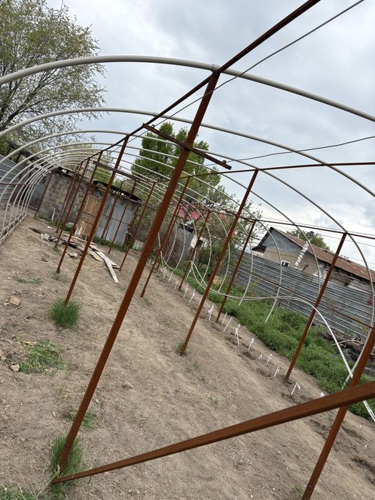 Теплица ст Шамалган