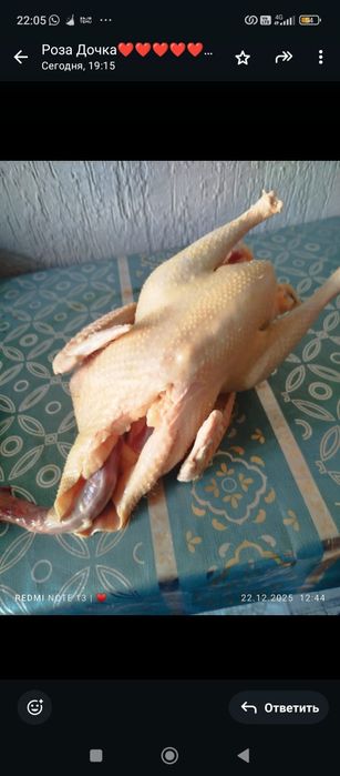 Индюшиное мясо продаются