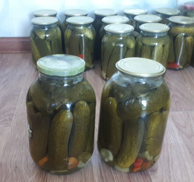 Маринованные огурцы