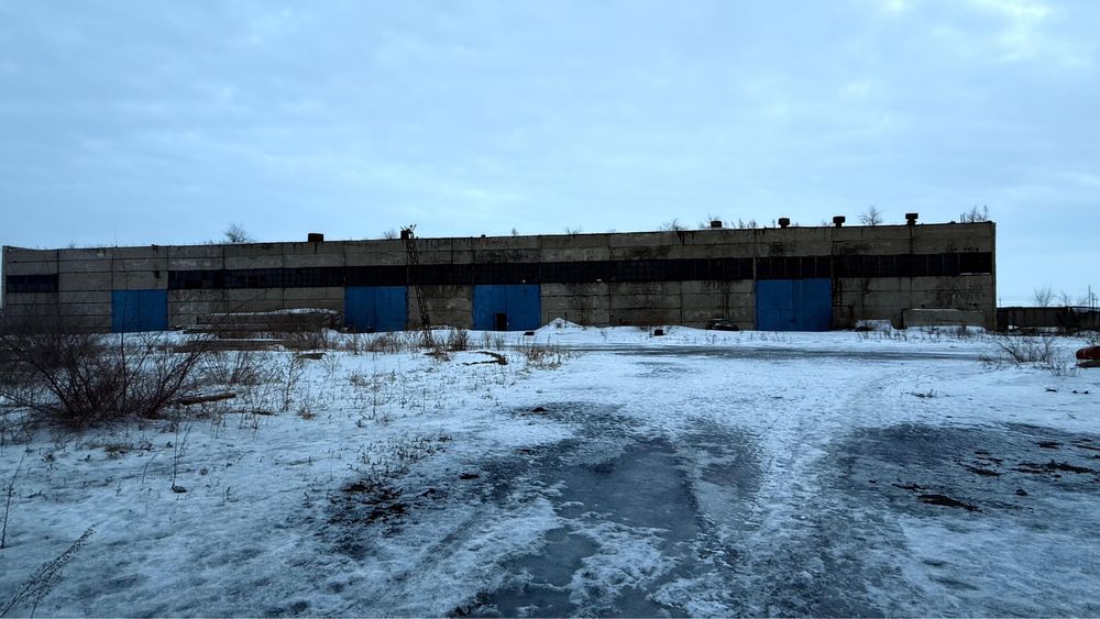 Сдам в аренду боксы скалд