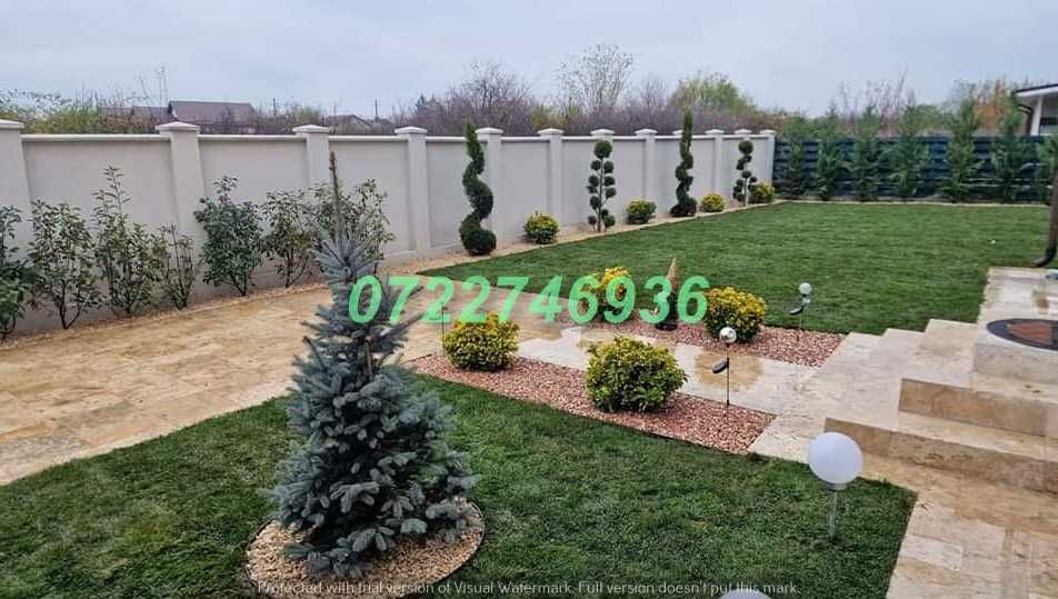 Gazon Natural pentru Curți cu Aspect Profesional