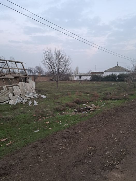 Пискэнт туманида ер сотилади