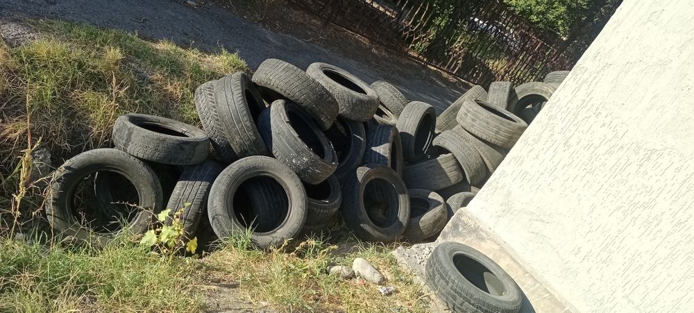 Болоны не нужные