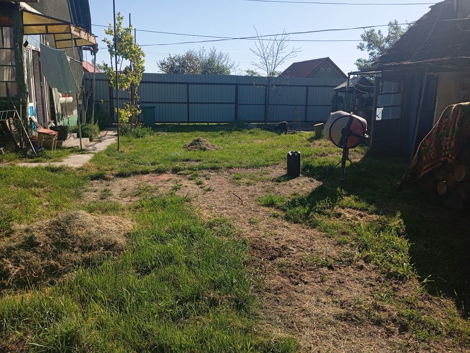 Vând casă cu grădină,2800 mp. in loc Mișca jud Arad. Informații la telefon 0770336792.