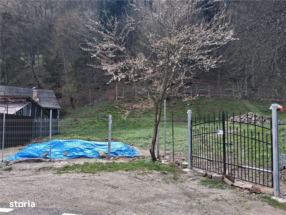 Teren intravilan Izvoru Muntelui, 500 mp