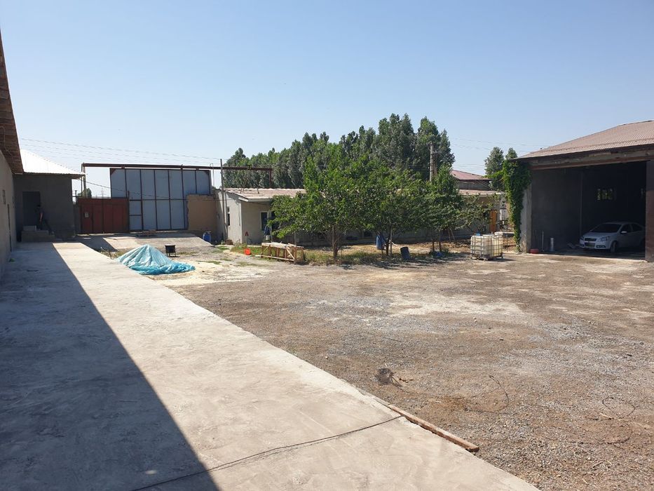 Продается готовый бизнес в Янгиюле.