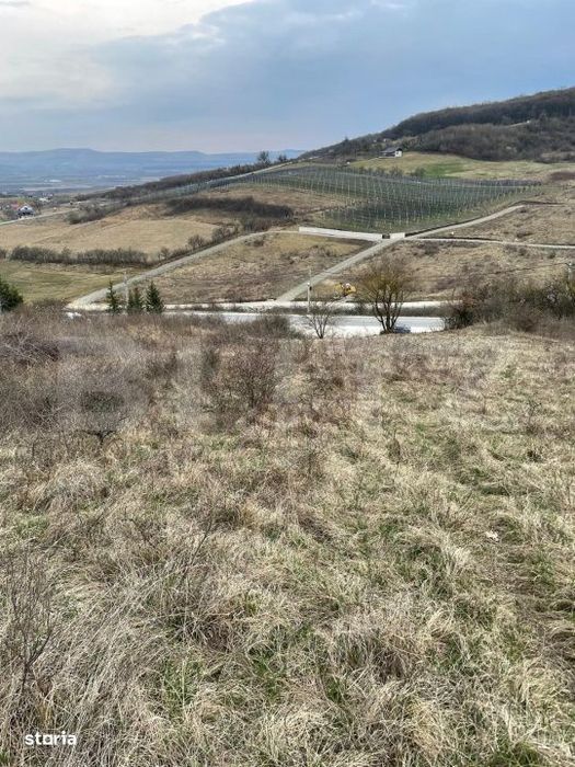 Teren intravilan 1.525 mp – Valea Jelnei, aproape de Bistrita, negoc