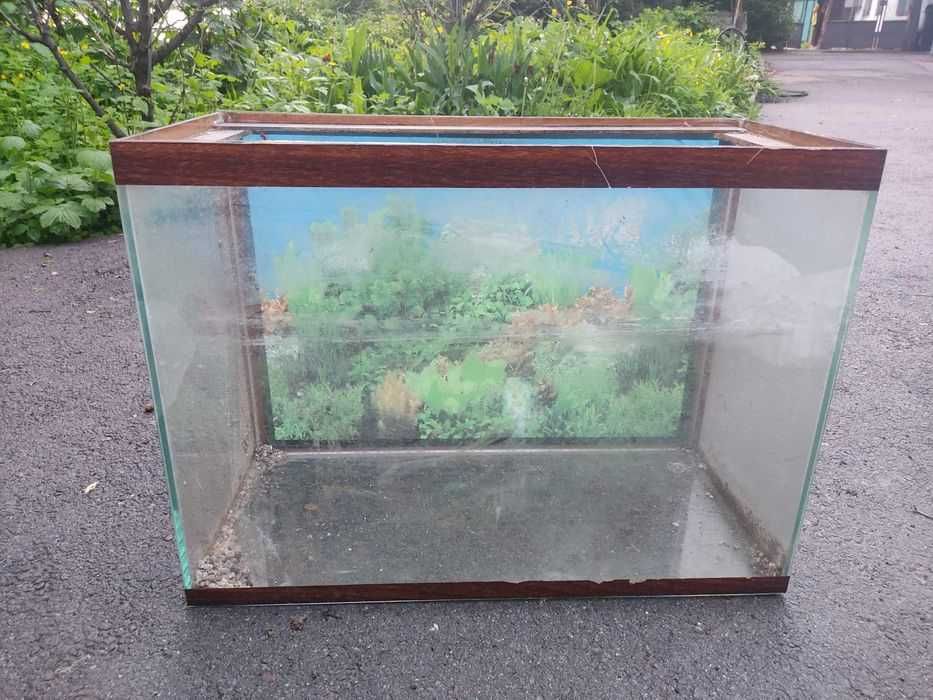 Аквариум(50 литров)