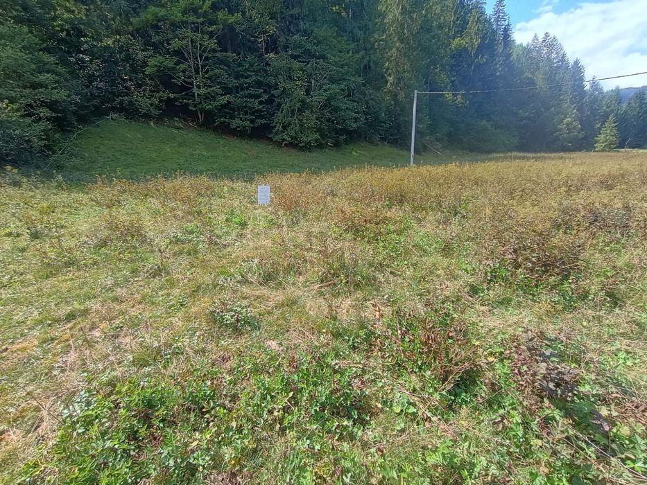 Vand teren pentru  cabana Garda de Sus