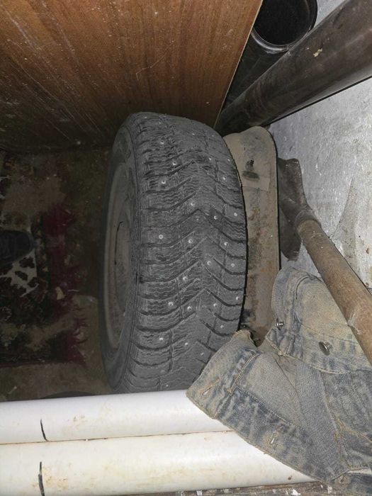 шины зимние всесезонные