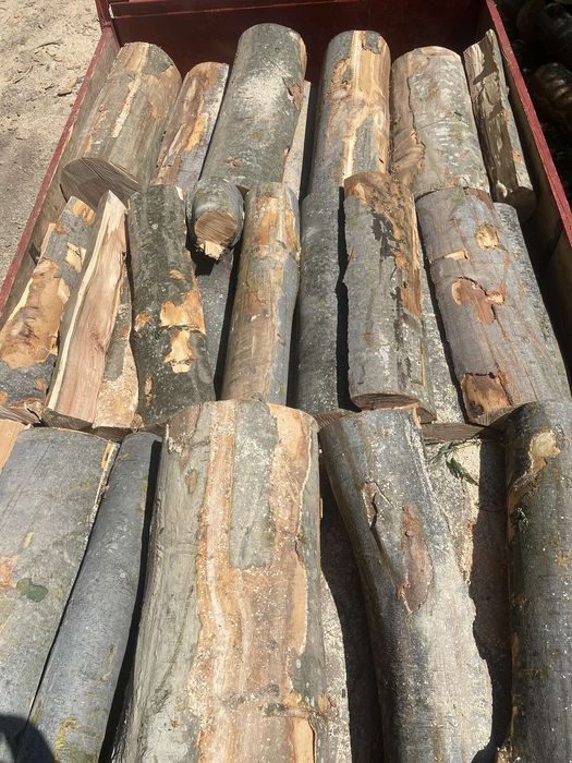 Lemne de foc Esențe tari